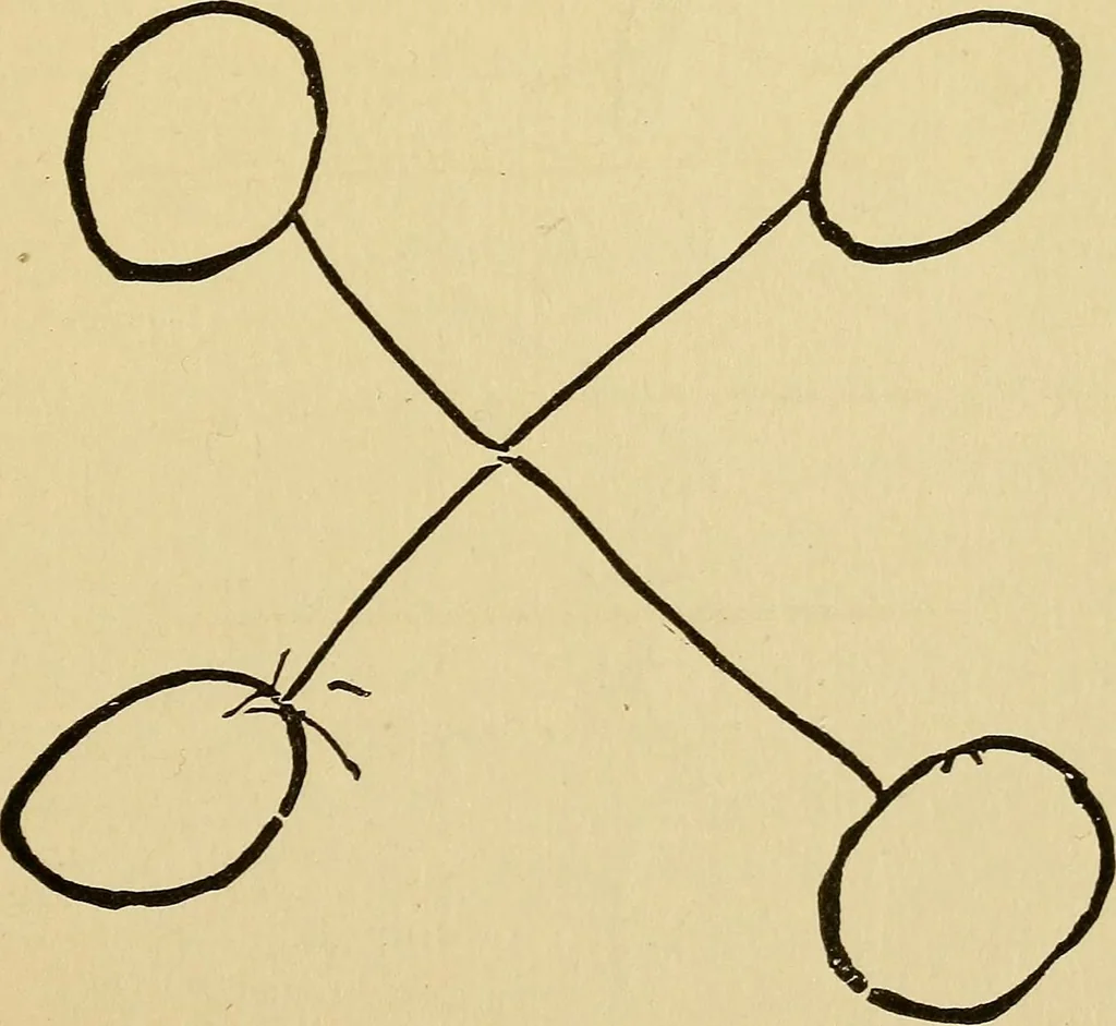 An illustration from Mind-reading and beyond, 1885, leaf 166