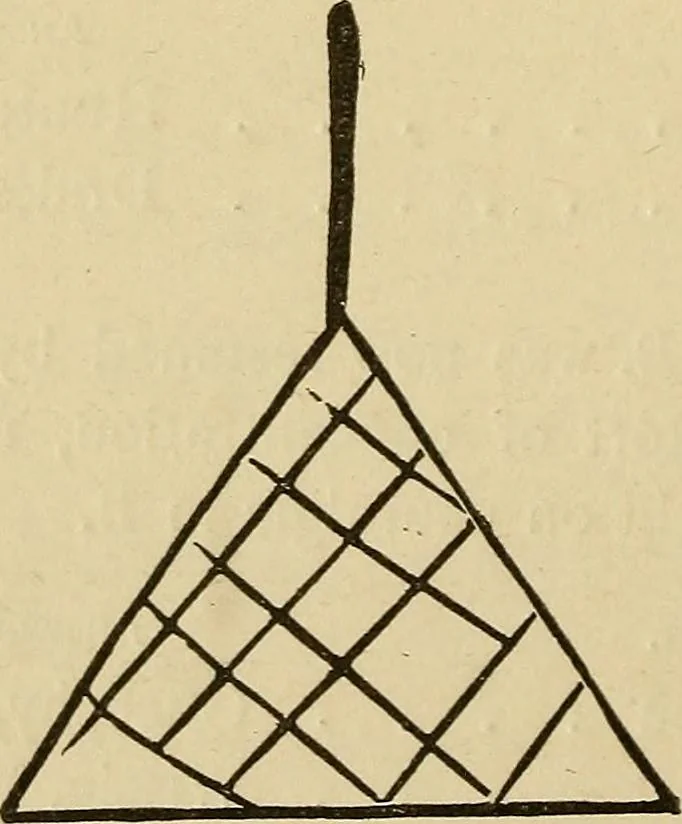 An illustration from Mind-reading and beyond, 1885, leaf 89