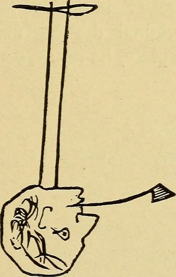An illustration from Mind-reading and beyond, 1885, leaf 90