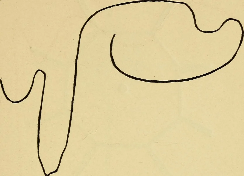 An illustration from Mind-reading and beyond, 1885, leaf 94