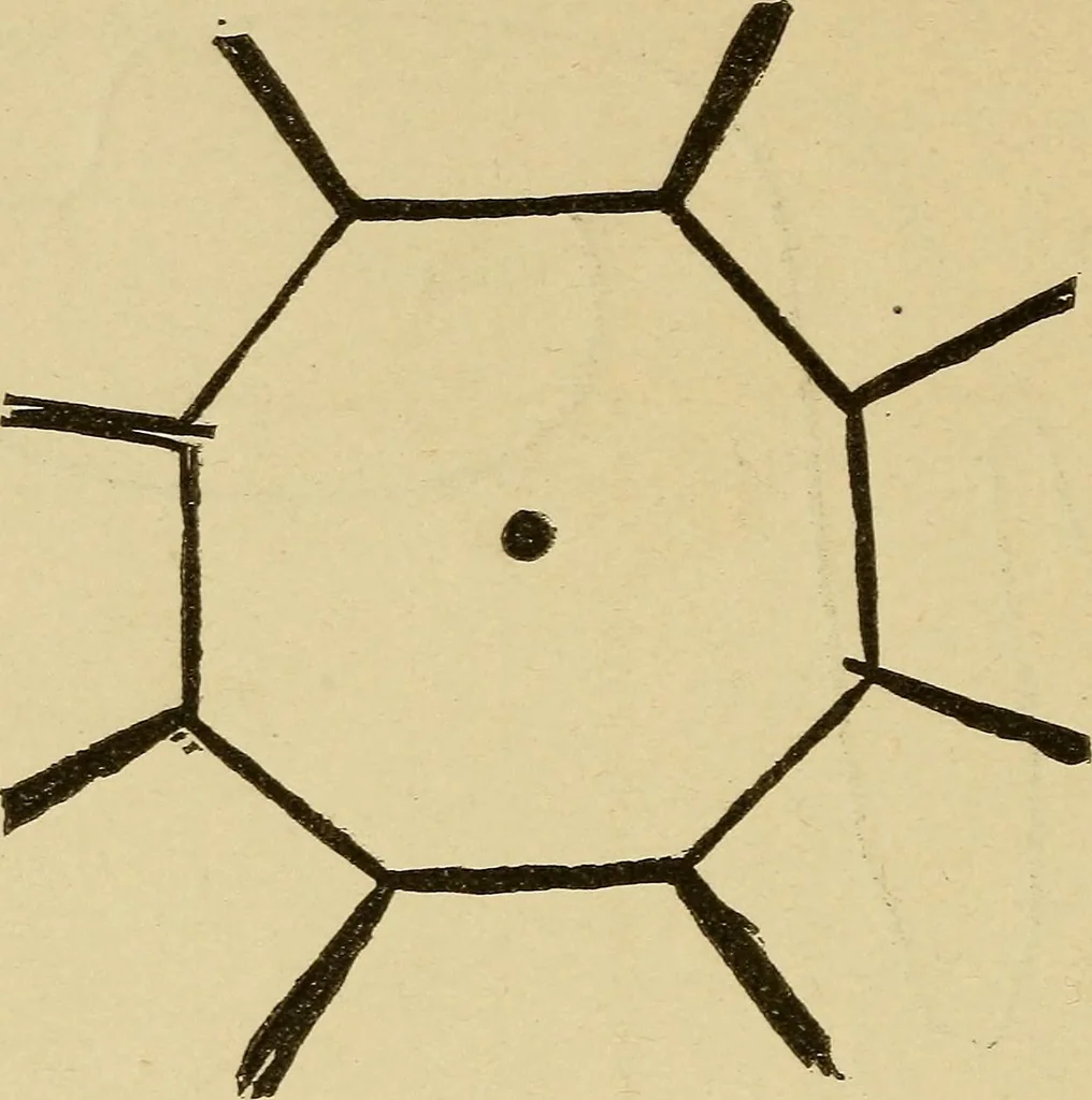 An illustration from Mind-reading and beyond, 1885, leaf 95