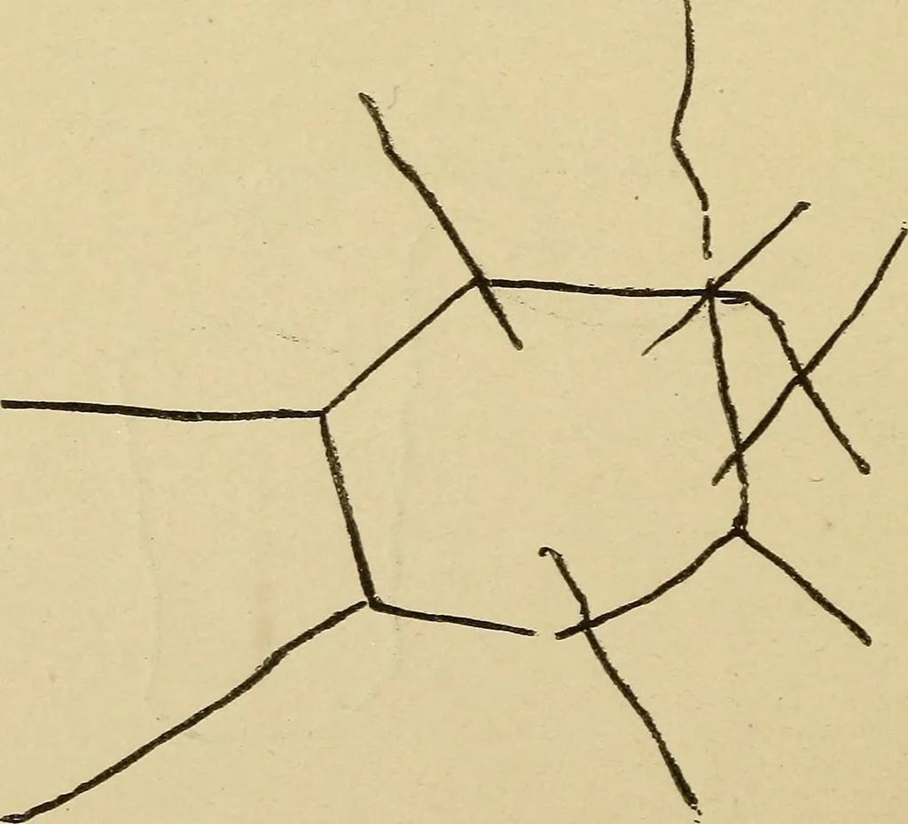 An illustration from Mind-reading and beyond, 1885, leaf 95