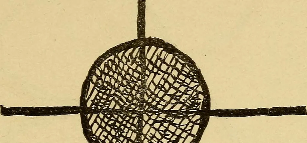 An illustration from Mind-reading and beyond, 1885, leaf 96