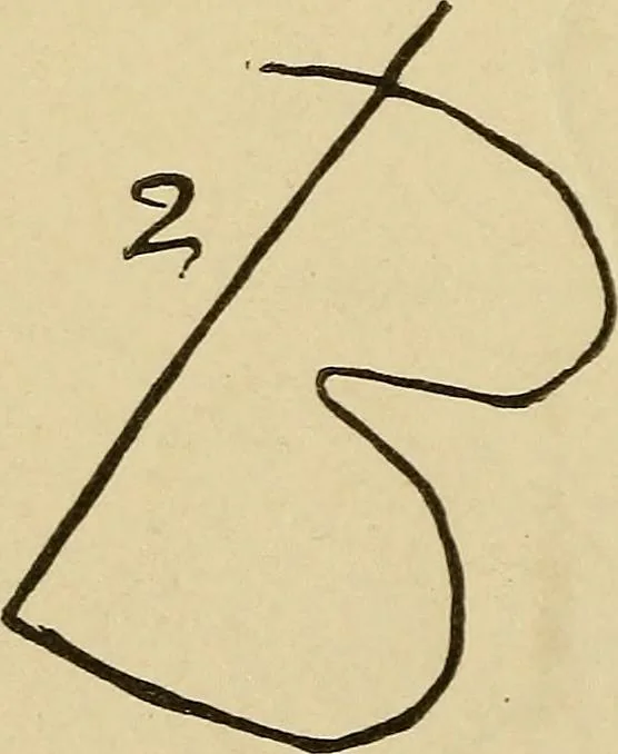 An illustration from Mind-reading and beyond, 1885, leaf 97
