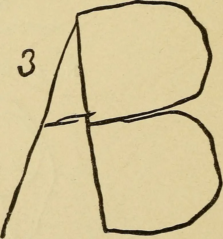 An illustration from Mind-reading and beyond, 1885, leaf 97