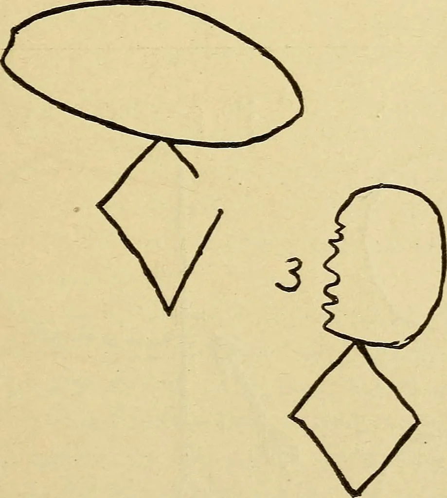 An illustration from Mind-reading and beyond, 1885, leaf 98