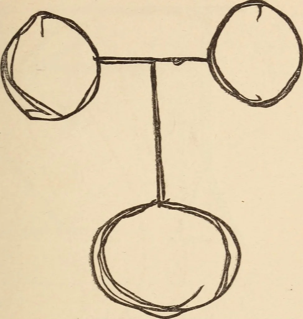 An illustration from Mind-reading and beyond, 1885, leaf 110