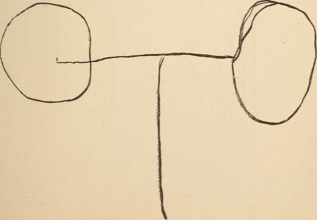 An illustration from Mind-reading and beyond, 1885, leaf 110