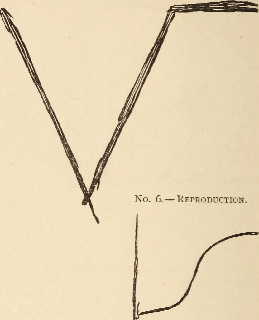 An illustration from Mind-reading and beyond, 1885, leaf 113