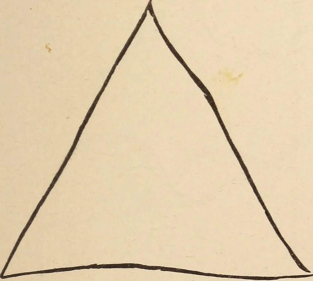 An illustration from Mind-reading and beyond, 1885, leaf 114
