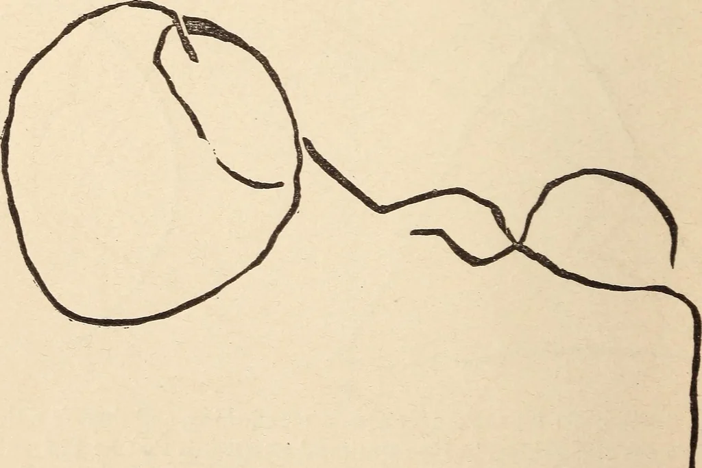 An illustration from Mind-reading and beyond, 1885, leaf 115