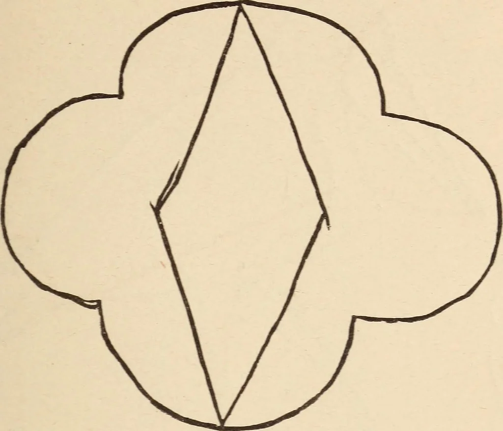 An illustration from Mind-reading and beyond, 1885, leaf 116