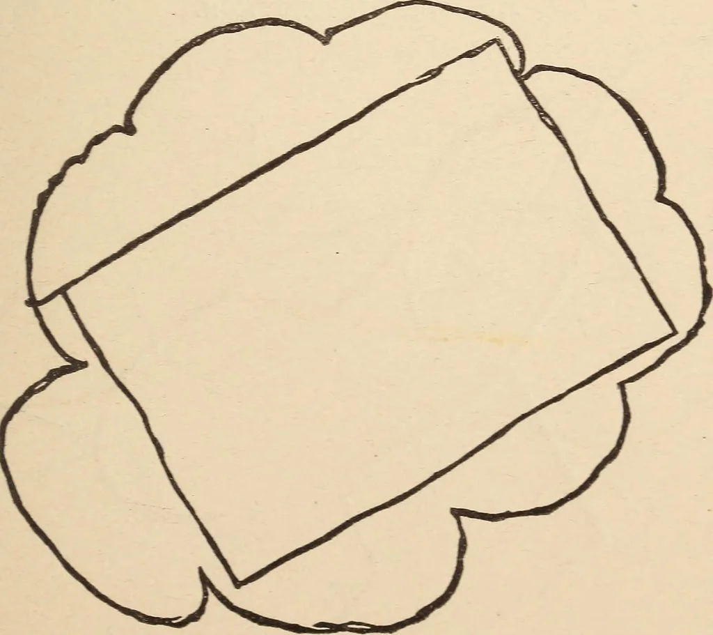 An illustration from Mind-reading and beyond, 1885, leaf 116