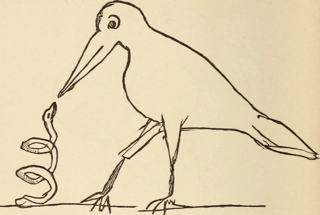 An illustration from Mind-reading and beyond, 1885, leaf 117