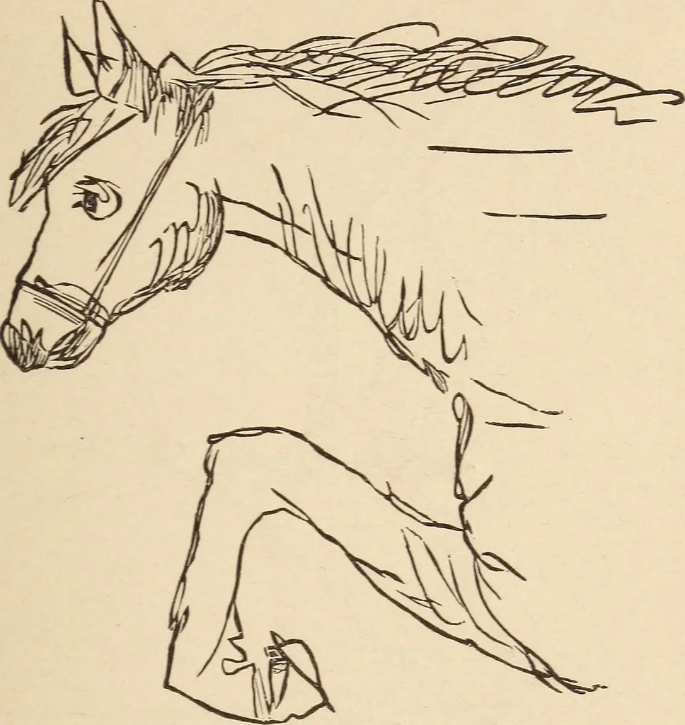 An illustration from Mind-reading and beyond, 1885, leaf 118