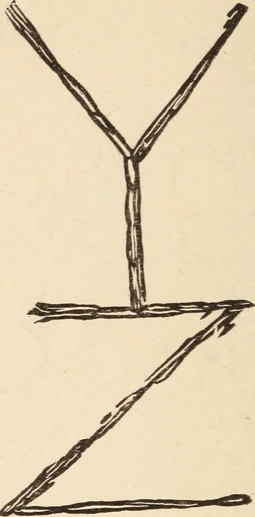 An illustration from Mind-reading and beyond, 1885, leaf 119