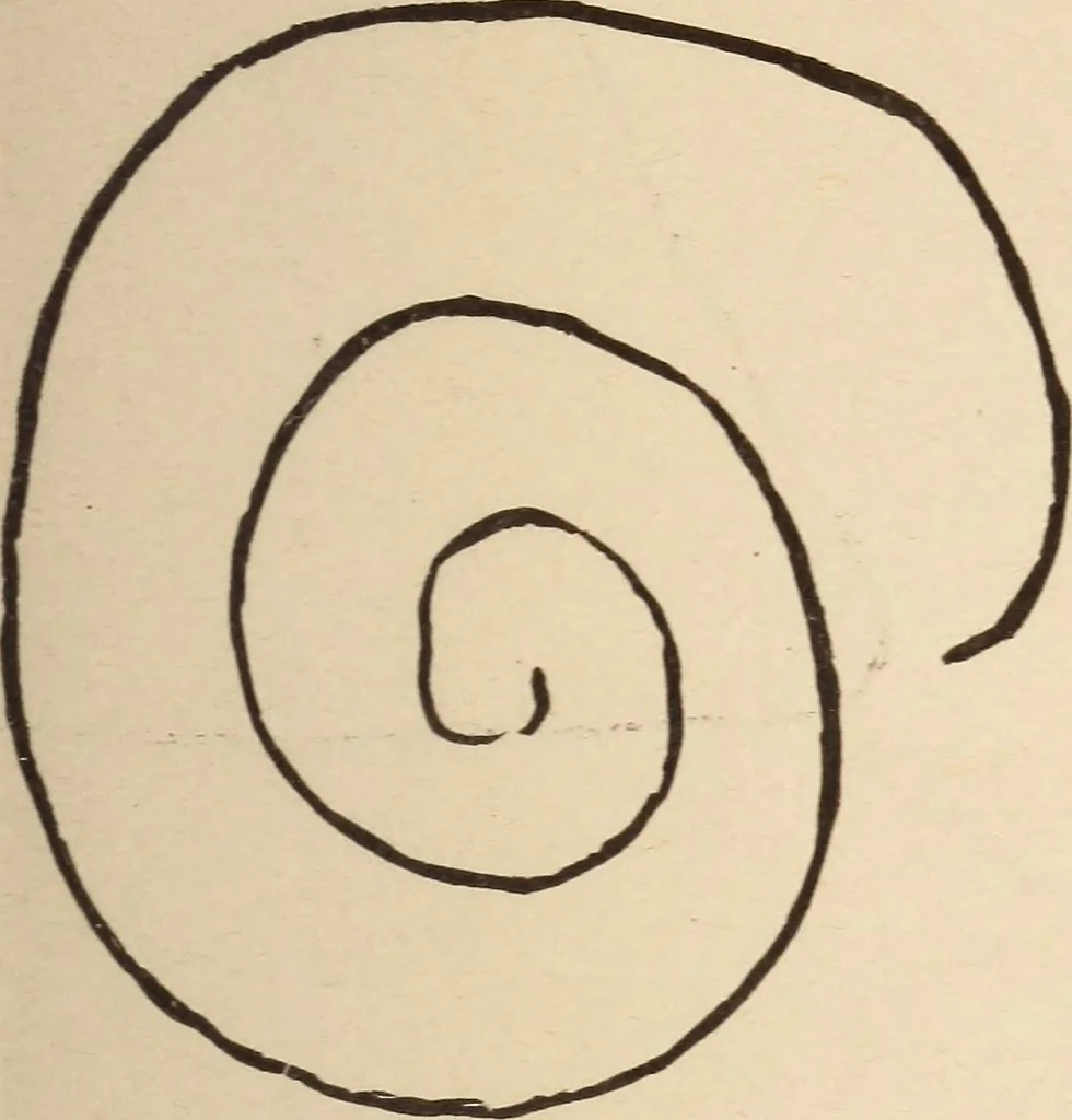 An illustration from Mind-reading and beyond, 1885, leaf 120