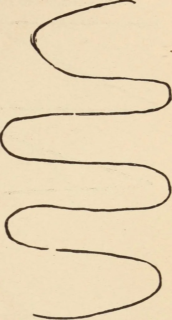 An illustration from Mind-reading and beyond, 1885, leaf 120