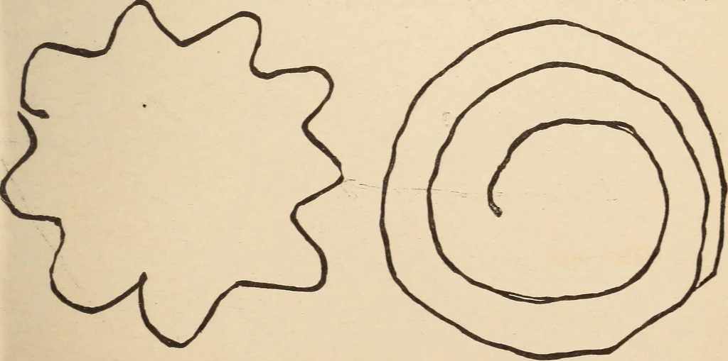 An illustration from Mind-reading and beyond, 1885, leaf 120
