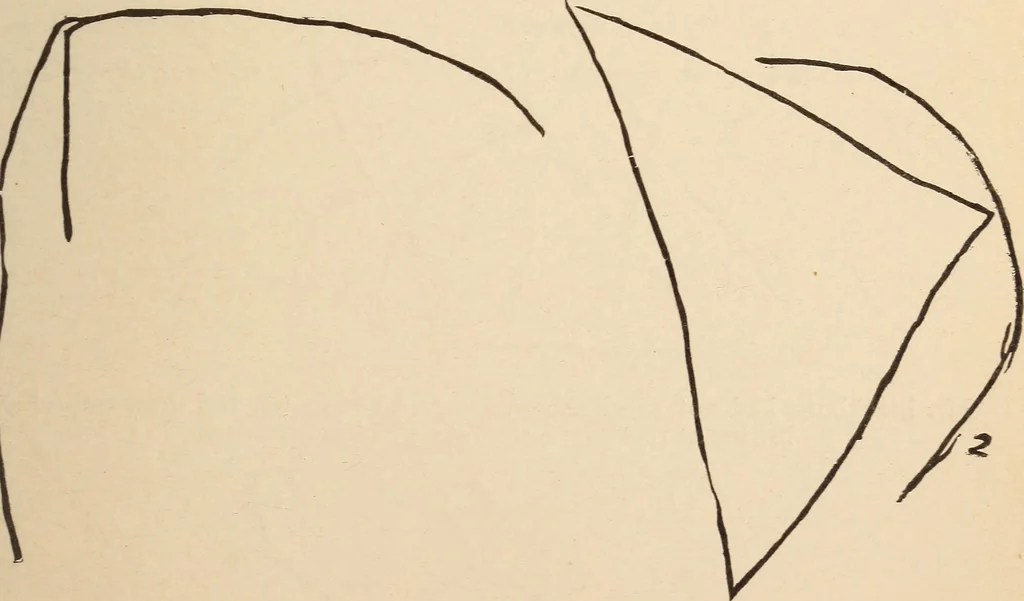 An illustration from Mind-reading and beyond, 1885, leaf 122