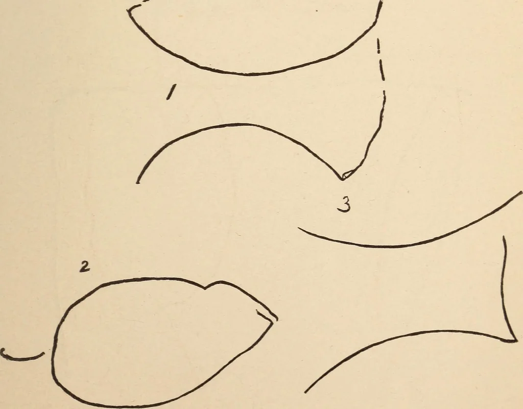 An illustration from Mind-reading and beyond, 1885, leaf 126