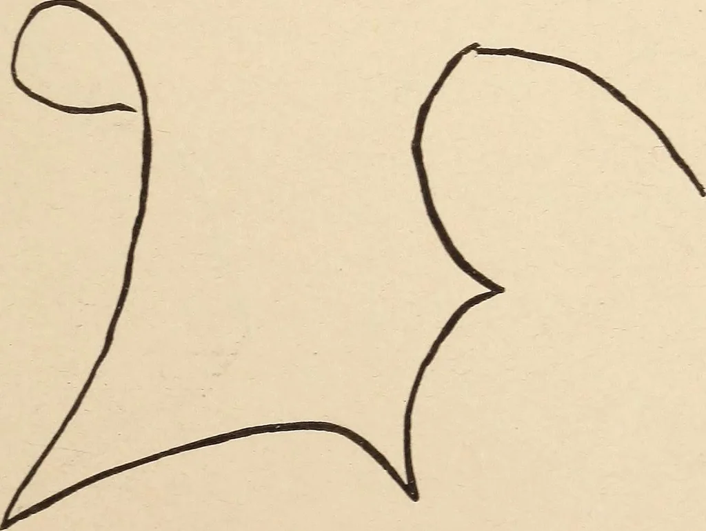 An illustration from Mind-reading and beyond, 1885, leaf 128