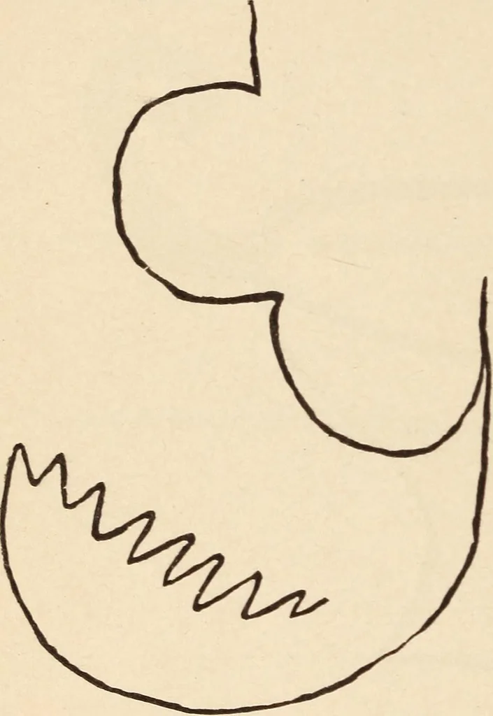 An illustration from Mind-reading and beyond, 1885, leaf 129