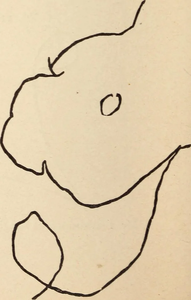 An illustration from Mind-reading and beyond, 1885, leaf 129
