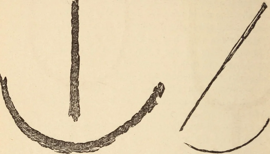 An illustration from Mind-reading and beyond, 1885, leaf 141