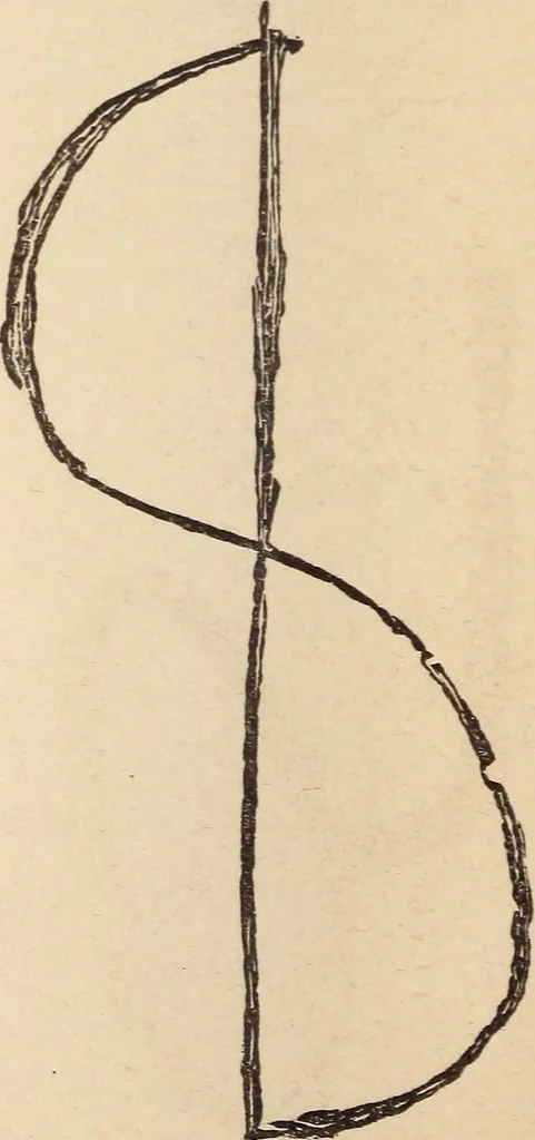 An illustration from Mind-reading and beyond, 1885, leaf 141