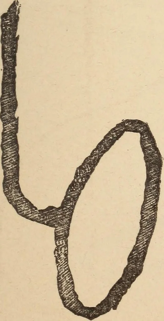An illustration from Mind-reading and beyond, 1885, leaf 142