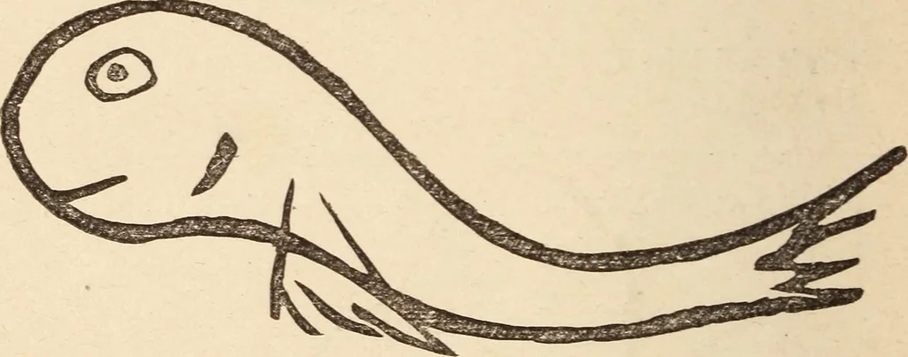 An illustration from Mind-reading and beyond, 1885, leaf 143