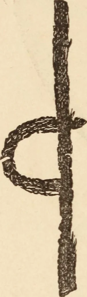 An illustration from Mind-reading and beyond, 1885, leaf 145
