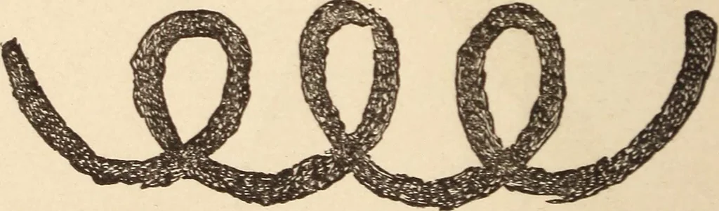 An illustration from Mind-reading and beyond, 1885, leaf 145