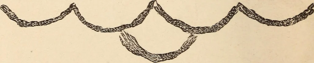 An illustration from Mind-reading and beyond, 1885, leaf 145