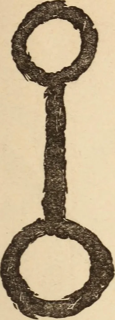 An illustration from Mind-reading and beyond, 1885, leaf 146