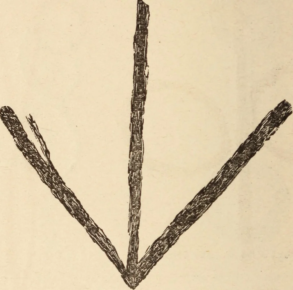 An illustration from Mind-reading and beyond, 1885, leaf 147
