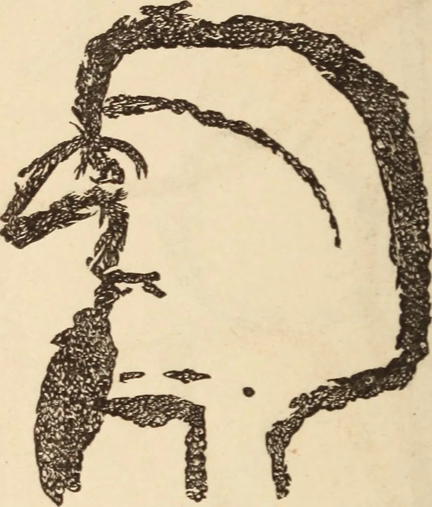 An illustration from Mind-reading and beyond, 1885, leaf 149