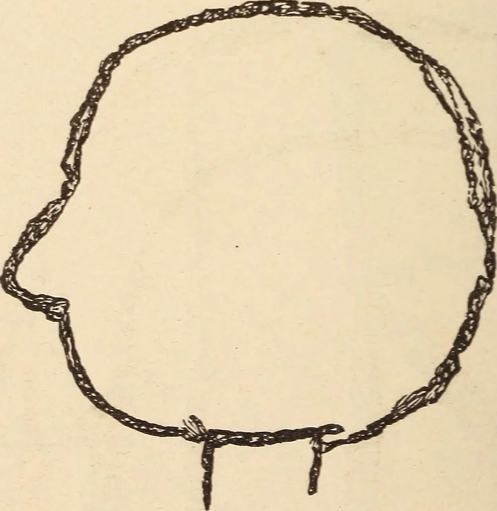 An illustration from Mind-reading and beyond, 1885, leaf 149