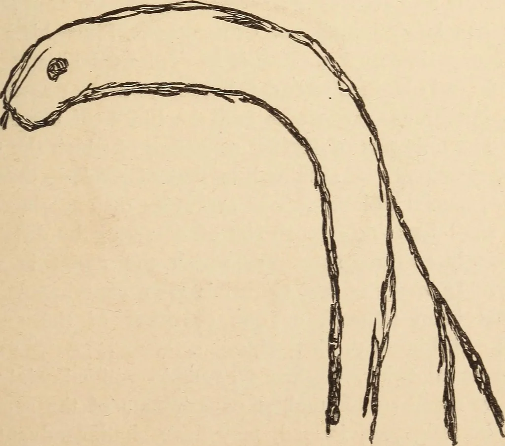 An illustration from Mind-reading and beyond, 1885, leaf 150