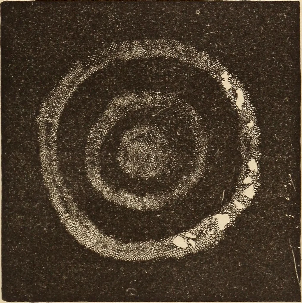 An illustration from Mind-reading and beyond, 1885, leaf 160