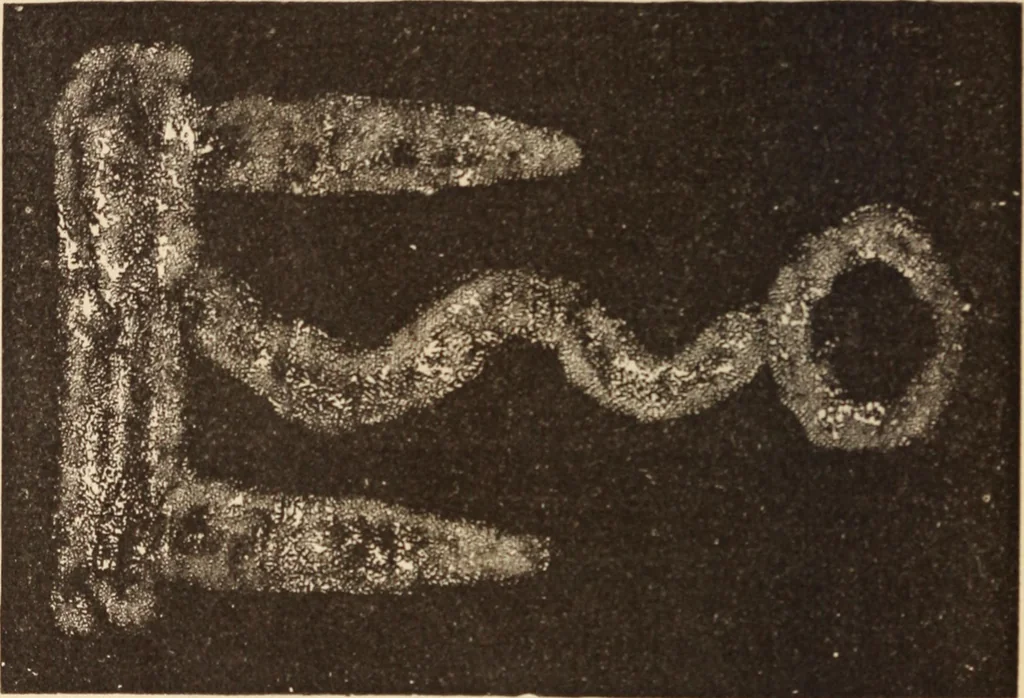 An illustration from Mind-reading and beyond, 1885, leaf 163