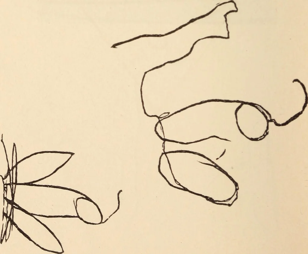 An illustration from Mind-reading and beyond, 1885, leaf 163