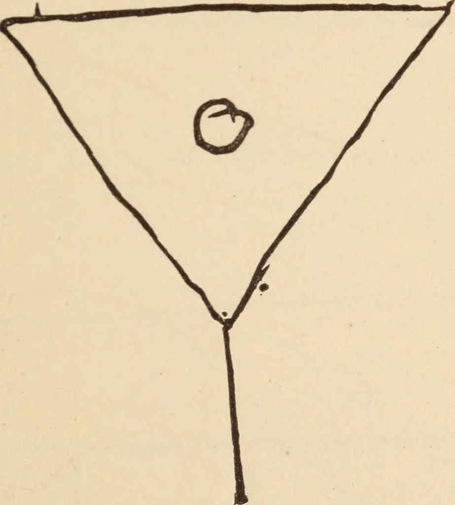 An illustration from Mind-reading and beyond, 1885, leaf 164