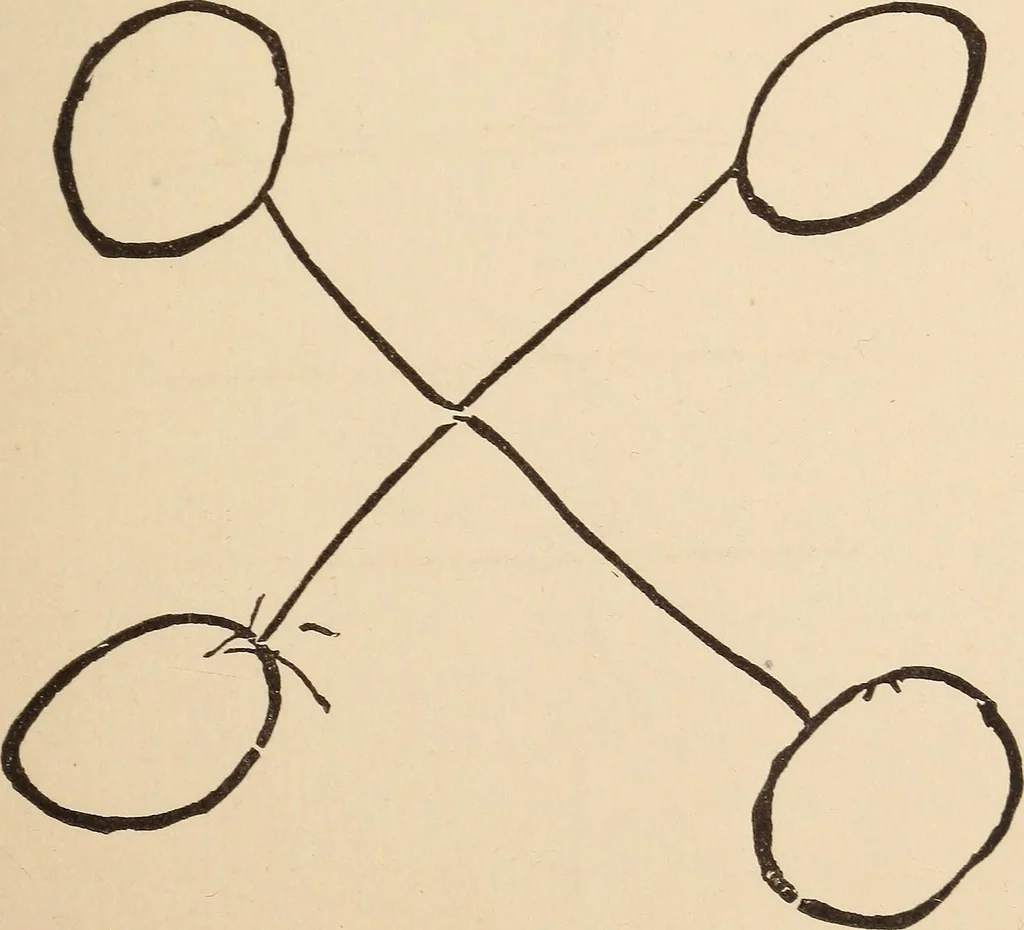 An illustration from Mind-reading and beyond, 1885, leaf 166
