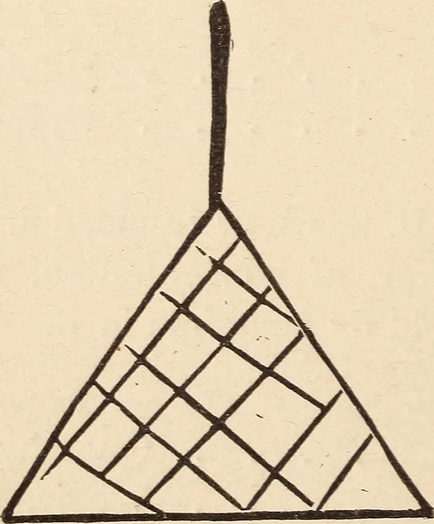 An illustration from Mind-reading and beyond, 1885, leaf 89