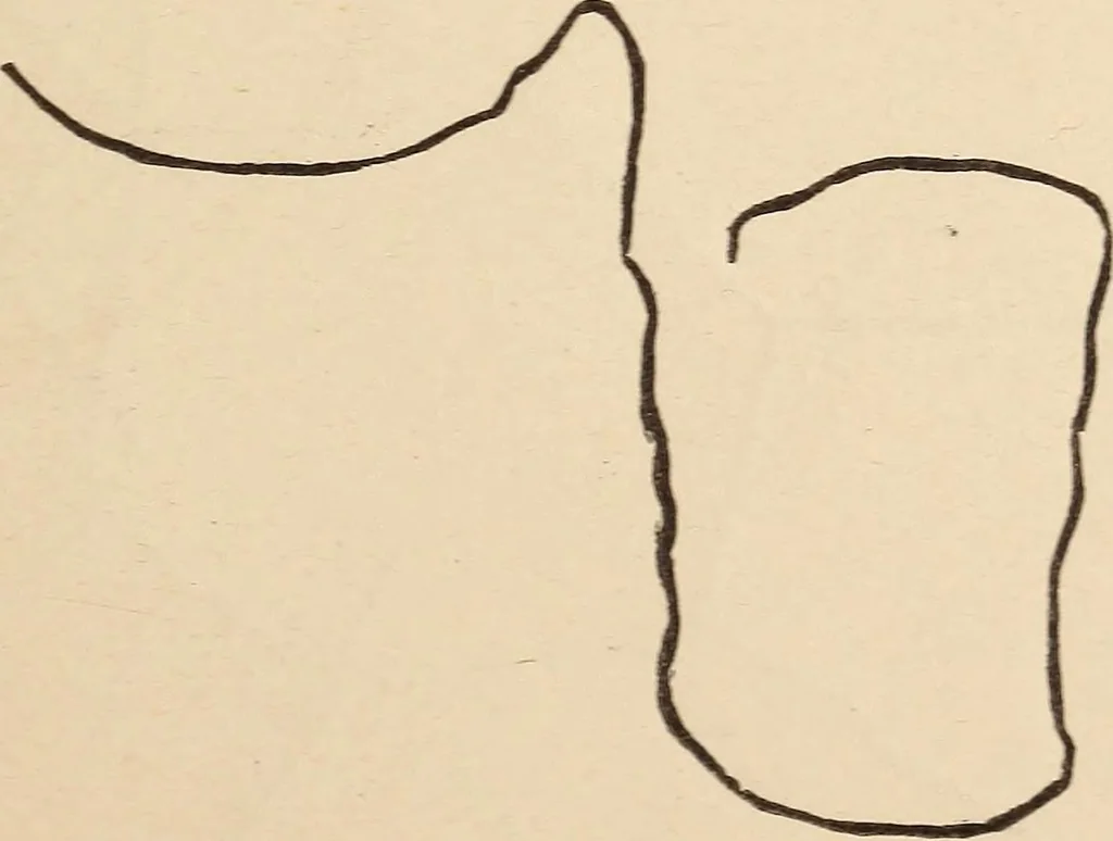 An illustration from Mind-reading and beyond, 1885, leaf 94