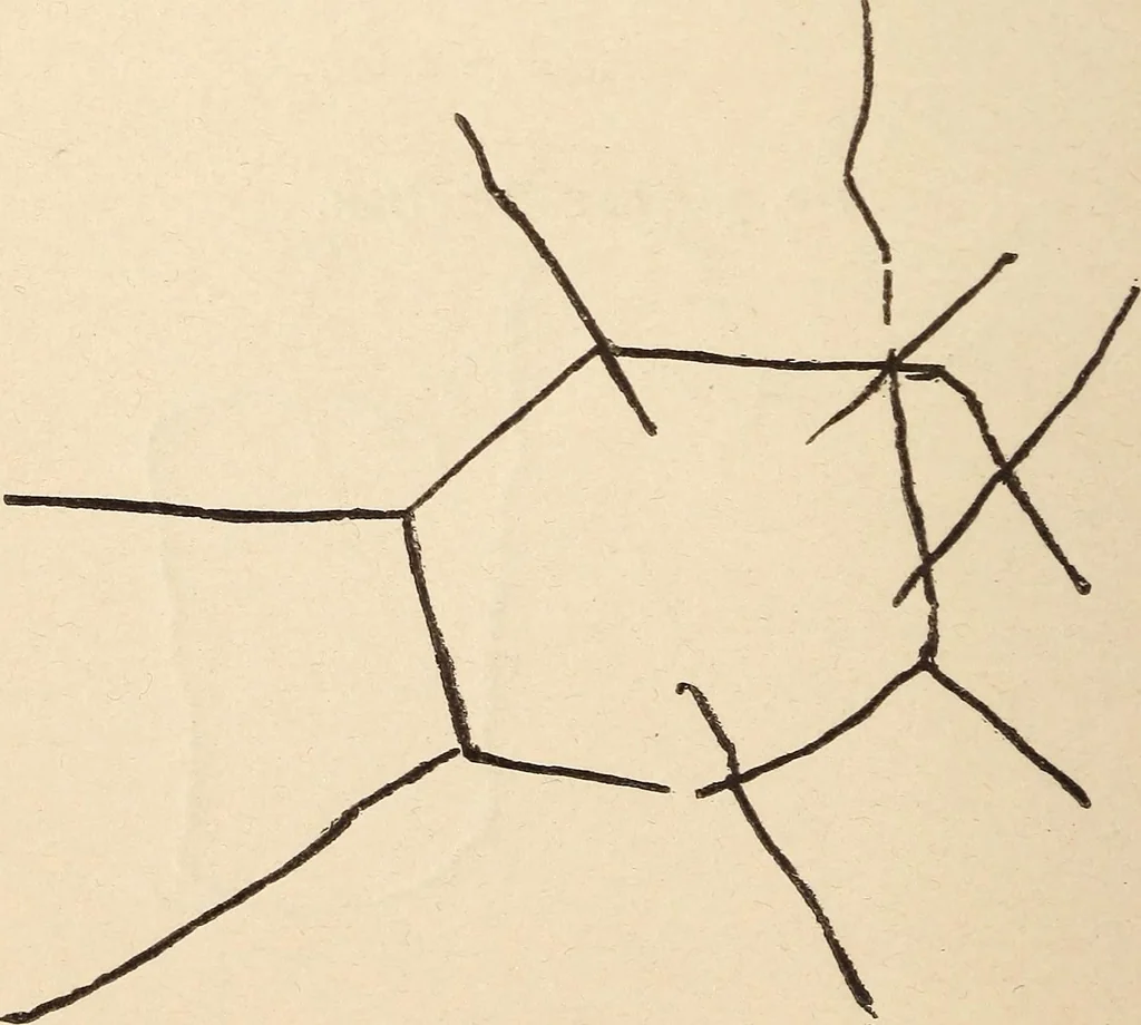 An illustration from Mind-reading and beyond, 1885, leaf 95