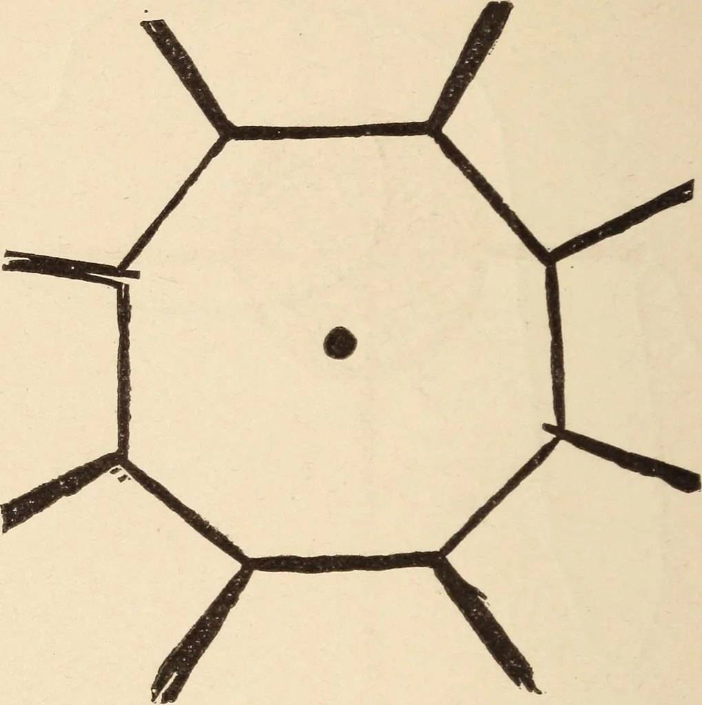 An illustration from Mind-reading and beyond, 1885, leaf 95