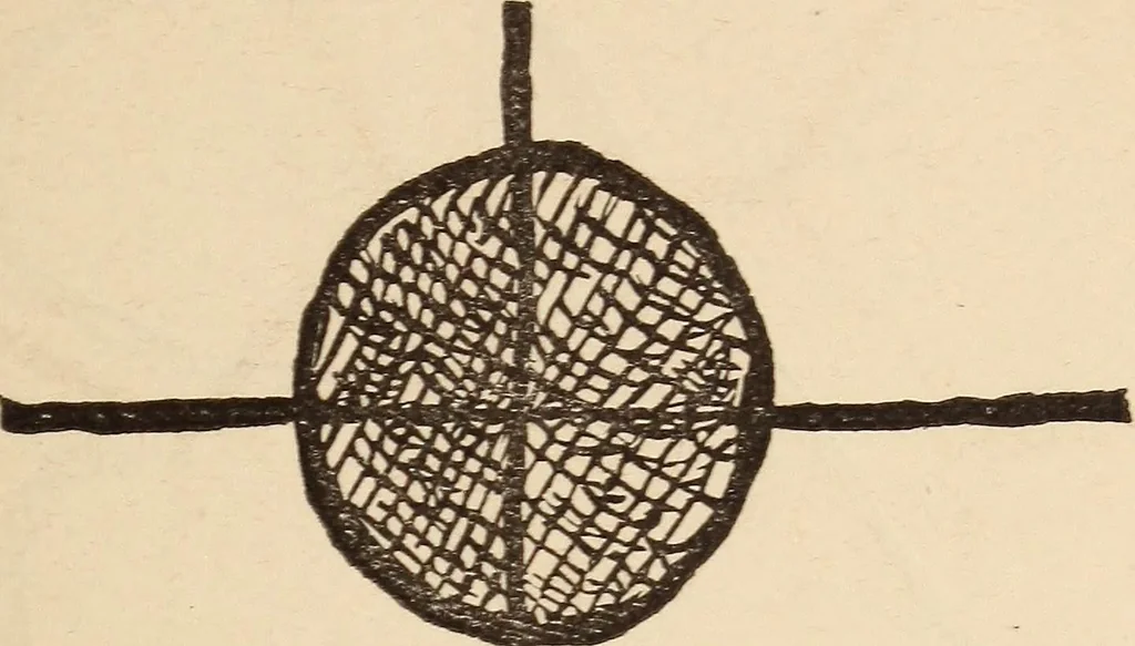 An illustration from Mind-reading and beyond, 1885, leaf 96